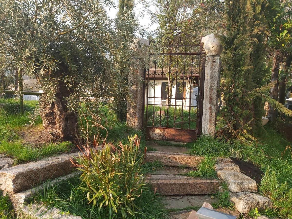 Romantico Palazzo Dei Ulivi Purasca Kültér fotó