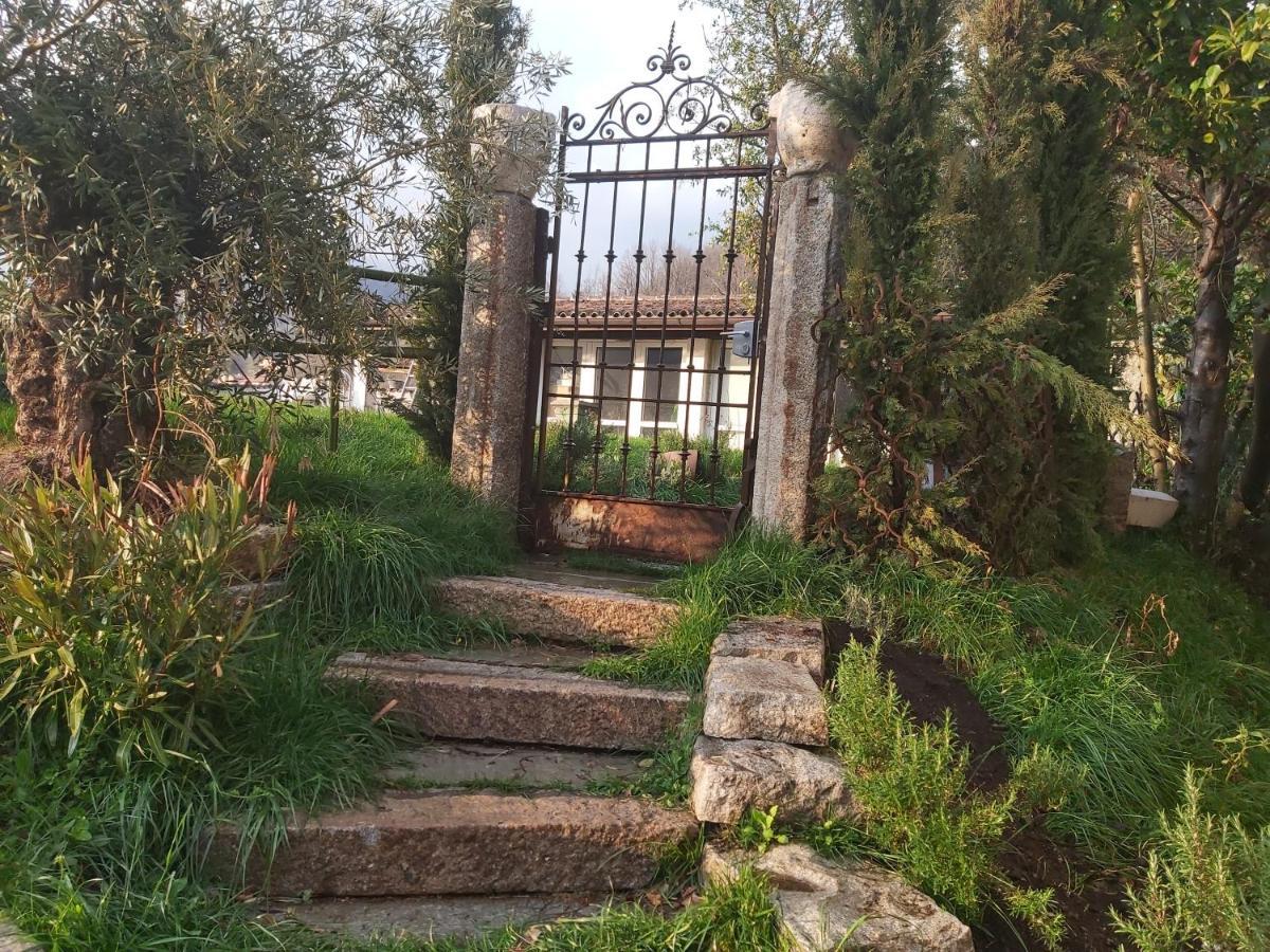 Romantico Palazzo Dei Ulivi Purasca Kültér fotó