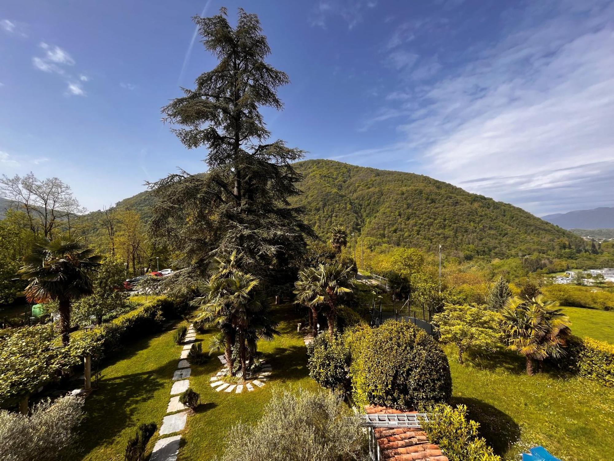 Romantico Palazzo Dei Ulivi Purasca Kültér fotó